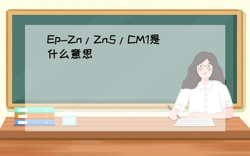 Ep-Zn/Zn5/CM1是什么意思