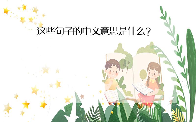 这些句子的中文意思是什么?