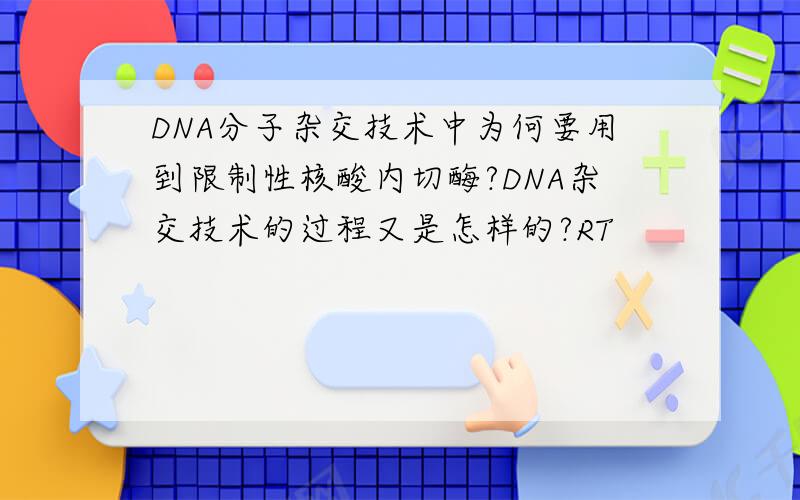DNA分子杂交技术中为何要用到限制性核酸内切酶?DNA杂交技术的过程又是怎样的?RT