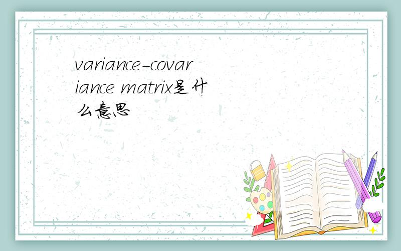 variance-covariance matrix是什么意思