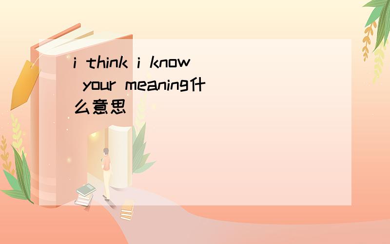 i think i know your meaning什么意思