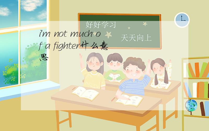 i'm not much of a fighter什么意思
