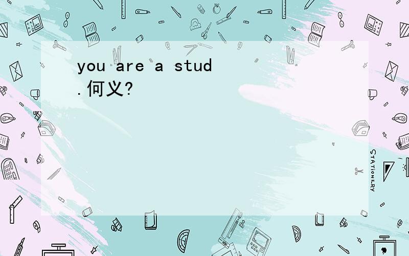 you are a stud.何义?