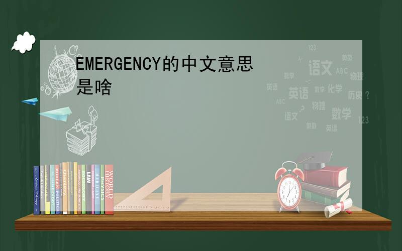 EMERGENCY的中文意思是啥