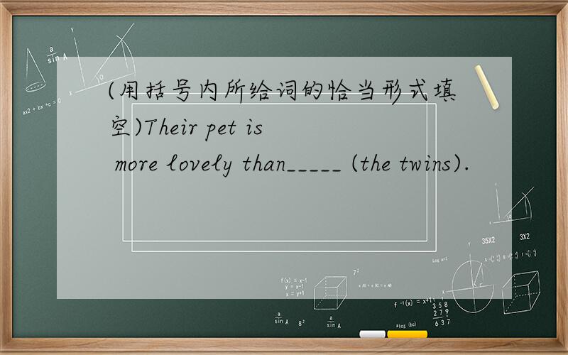 (用括号内所给词的恰当形式填空)Their pet is more lovely than_____ (the twins).