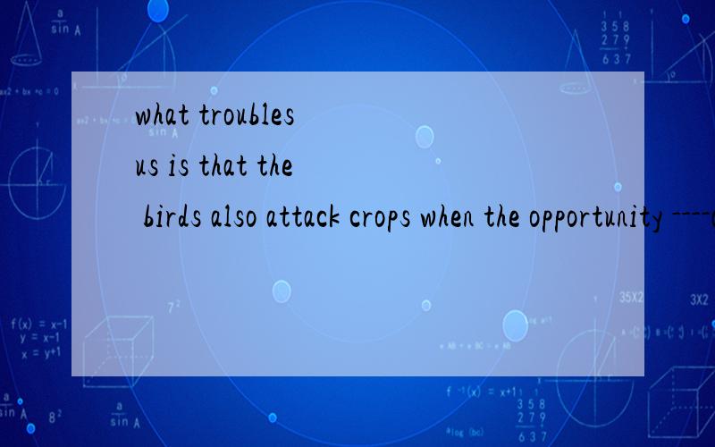 what troubles us is that the birds also attack crops when the opportunity ----a.solve b.arises c.operates d.types
