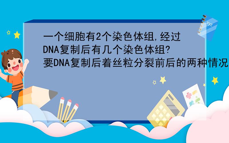 一个细胞有2个染色体组,经过DNA复制后有几个染色体组?要DNA复制后着丝粒分裂前后的两种情况都说明一下.