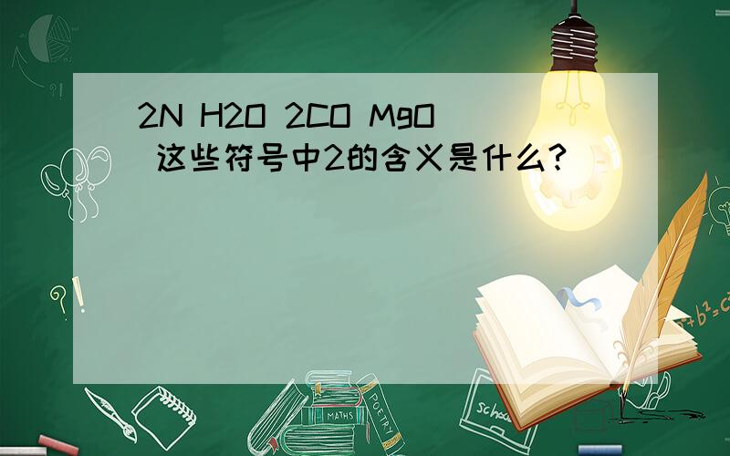 2N H2O 2CO MgO 这些符号中2的含义是什么?