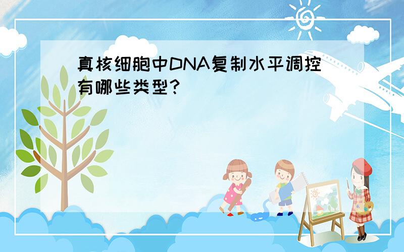 真核细胞中DNA复制水平调控有哪些类型?