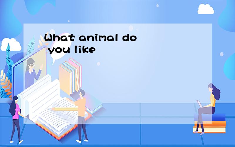 What animal do you like