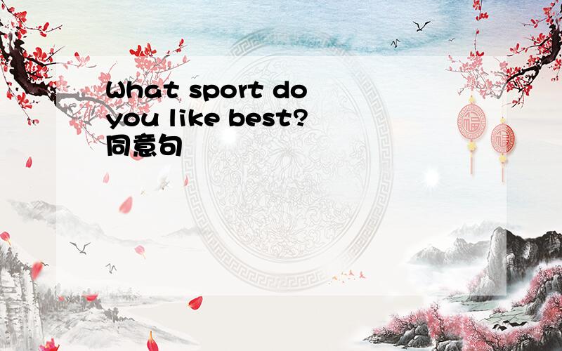 What sport do you like best?同意句