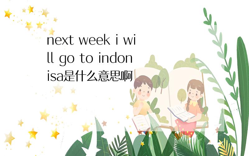 next week i will go to indonisa是什么意思啊