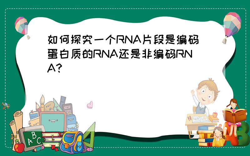 如何探究一个RNA片段是编码蛋白质的RNA还是非编码RNA?