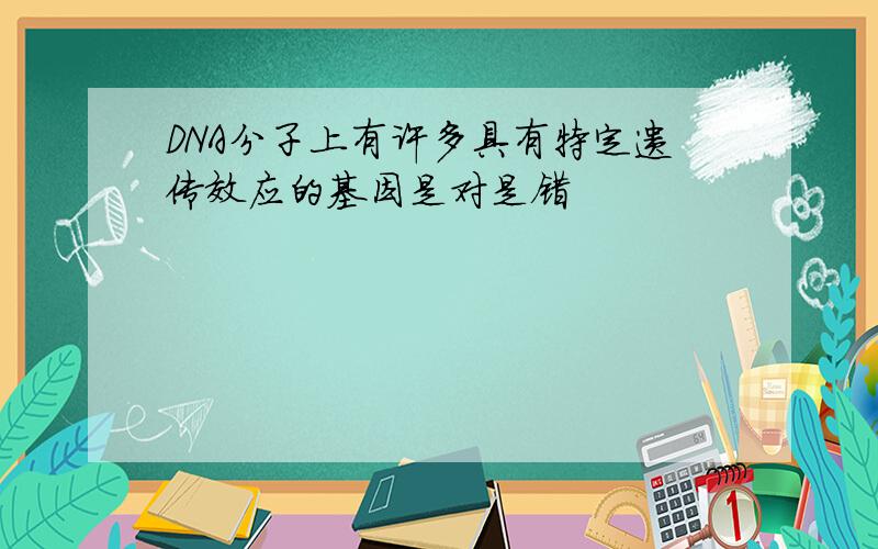 DNA分子上有许多具有特定遗传效应的基因是对是错