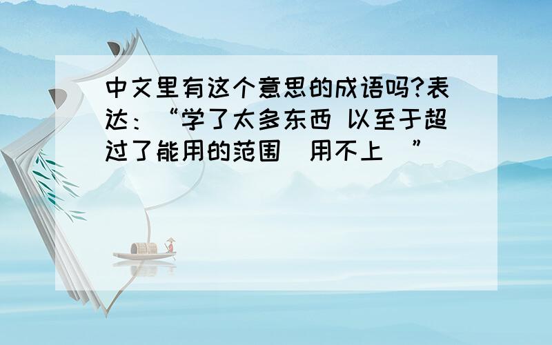 中文里有这个意思的成语吗?表达：“学了太多东西 以至于超过了能用的范围（用不上）”