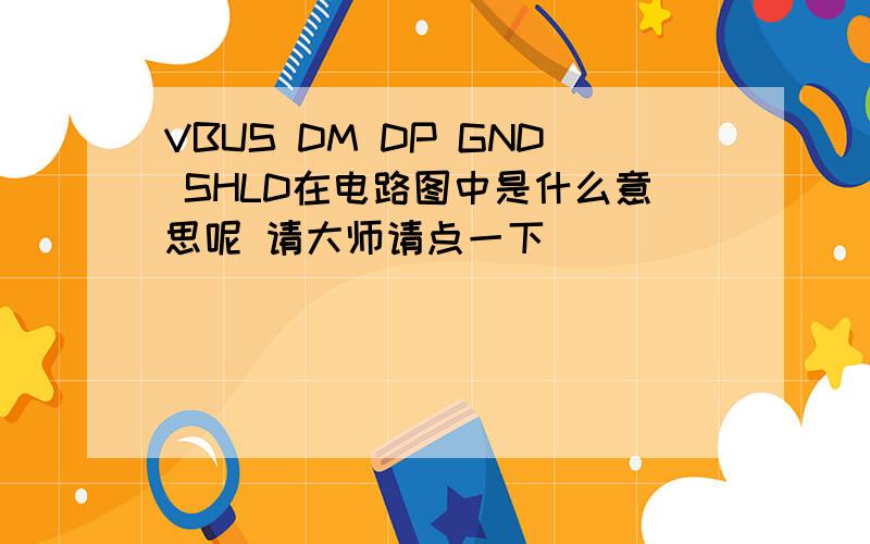 VBUS DM DP GND SHLD在电路图中是什么意思呢 请大师请点一下