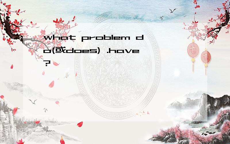 what problem do(或does) .have?