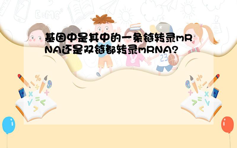 基因中是其中的一条链转录mRNA还是双链都转录mRNA?