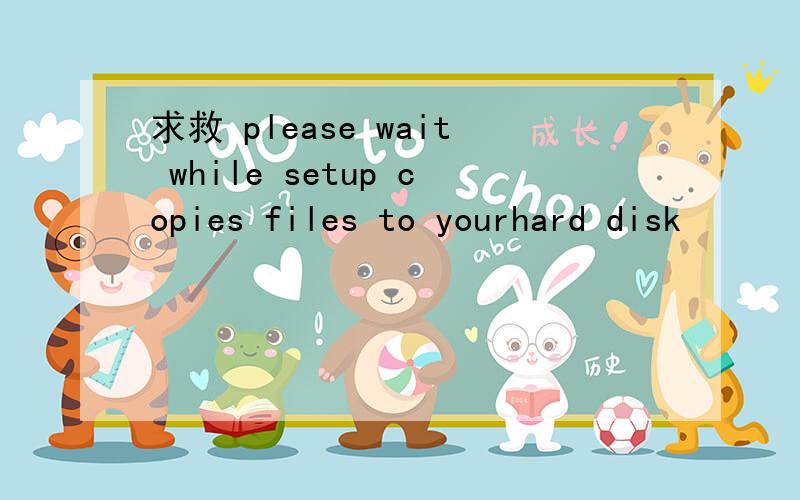 求救 please wait while setup copies files to yourhard disk