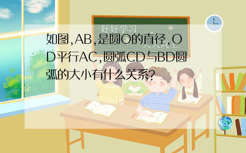 如图,AB,是圆O的直径,OD平行AC,圆弧CD与BD圆弧的大小有什么关系?