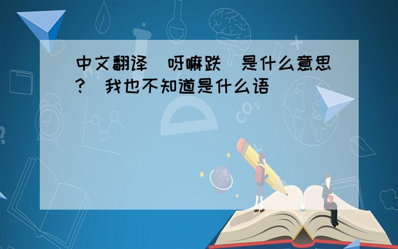 中文翻译　呀嘛跌　是什么意思?　我也不知道是什么语